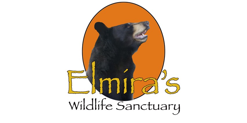 Elmiras Logo 3