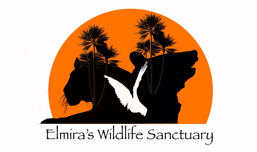 Elmira's Logo 
