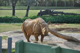 Busch Gardens